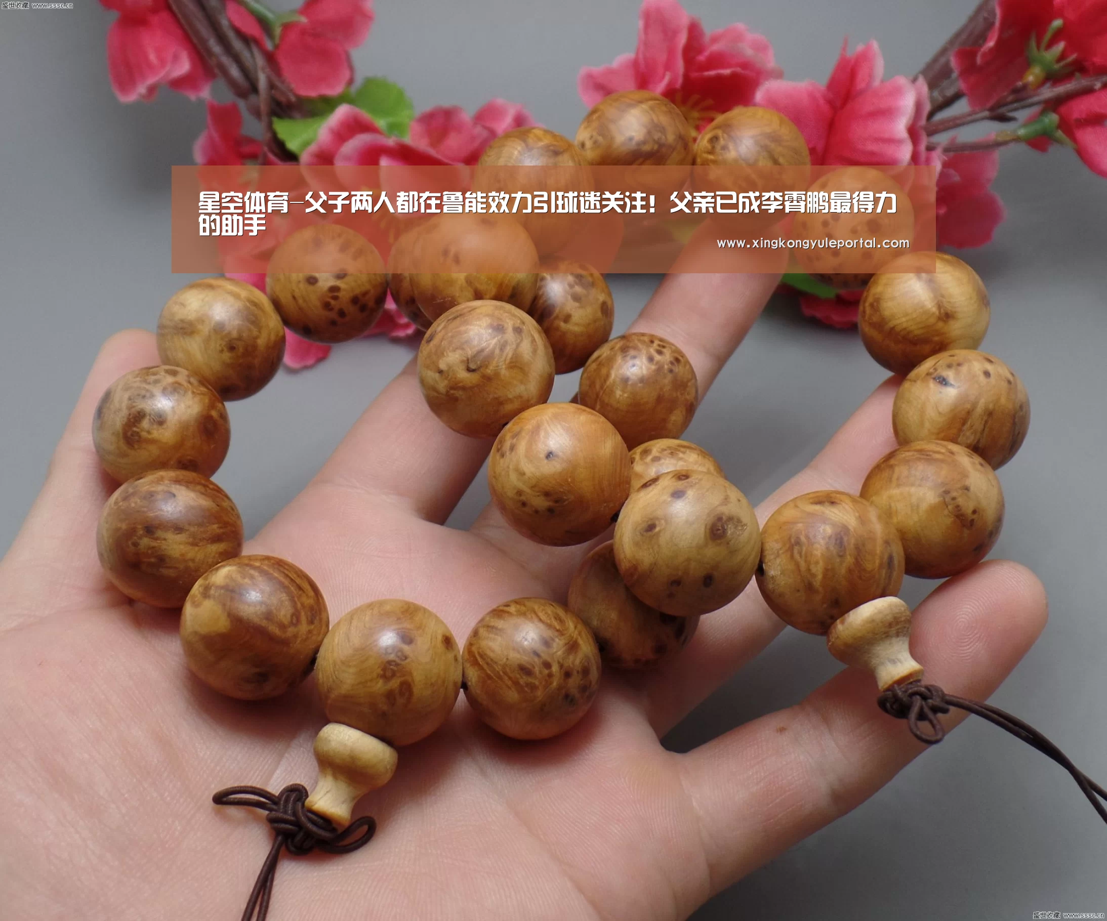 星空体育-父子两人都在鲁能效力引球迷关注!父亲已成李霄鹏最得力的助手(图2) 星空体育