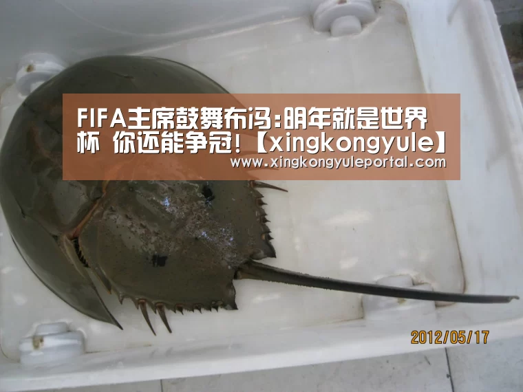 FIFA主席鼓舞布冯:明年就是世界杯 你还能争冠!【xingkongyule】(图1) 星空体育
