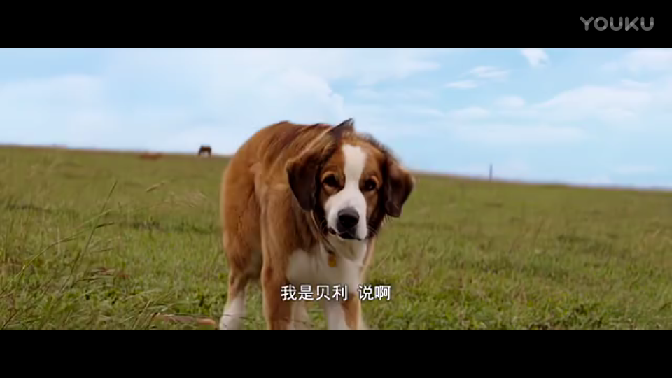 星空娱乐