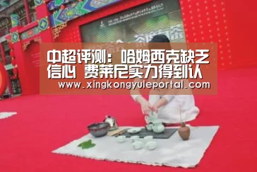 中超评测:哈姆西克缺乏信心 费莱尼实力得到认可:星空娱乐(图4) 星空娱乐